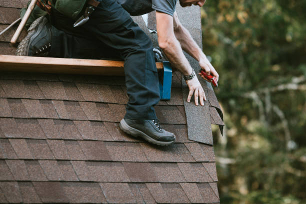 Best Roof Gutter Cleaning  in Ripley, OH